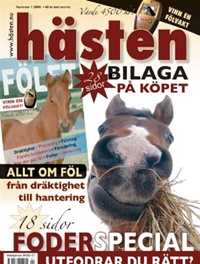 FRAMSIDA: Hästen