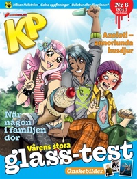 FRAMSIDA: Kamratposten