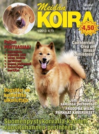 FRAMSIDA: Meidän Koira