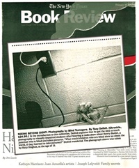 FRAMSIDA: New York Times Book Review